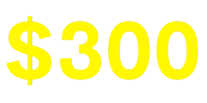 Course Only $300 (500 x 250 px) (1)