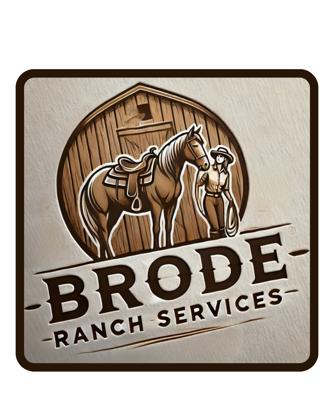 horse grooming
